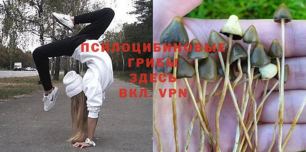 не бодяженный Богородицк