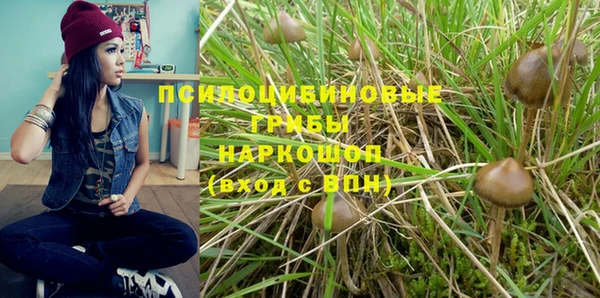 не бодяженный Богородицк