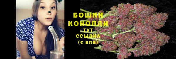хмурый Богданович